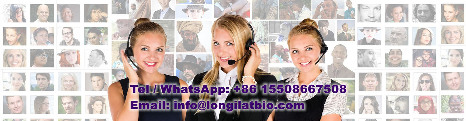 jakość GS-441524 fabryka